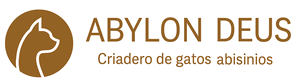 Abyssinian Cat Cattery "ABYLON DEUS"
